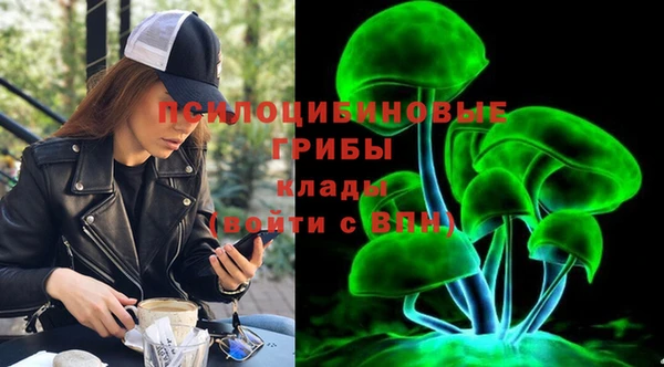 хмурый Горнозаводск