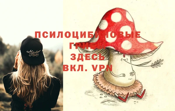 хмурый Горнозаводск